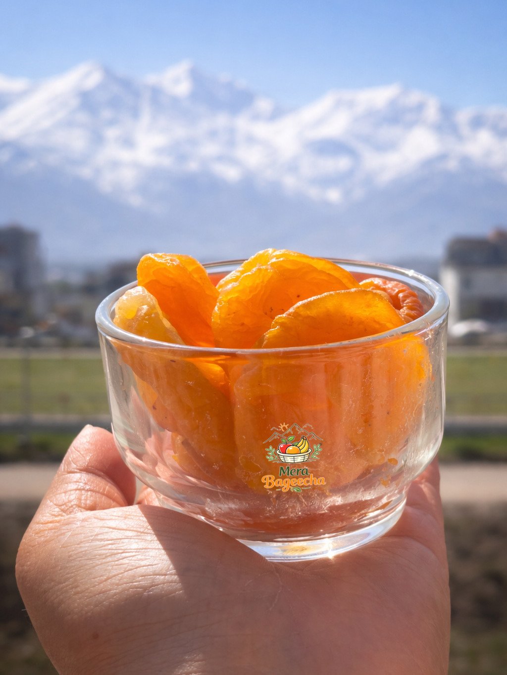 Himalayan Dried Apricots